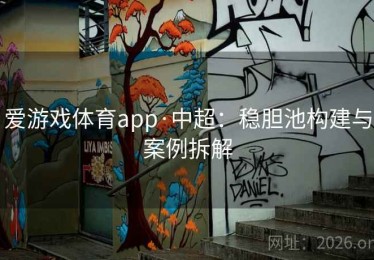 爱游戏体育app·中超：稳胆池构建与案例拆解