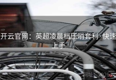 开云官网：英超凌晨档压哨套利·快速上手