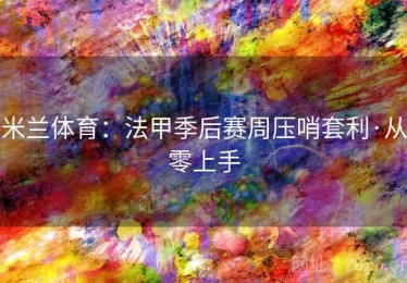 米兰体育：法甲季后赛周压哨套利·从零上手
