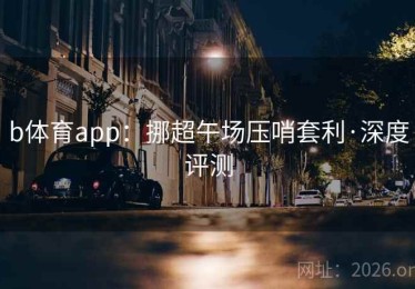 b体育app：挪超午场压哨套利·深度评测