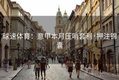 球速体育：意甲本月压哨套利·押注锦囊