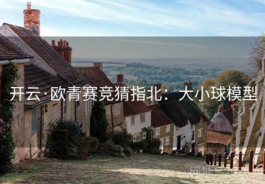 开云·欧青赛竞猜指北：大小球模型