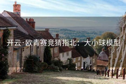 开云·欧青赛竞猜指北：大小球模型